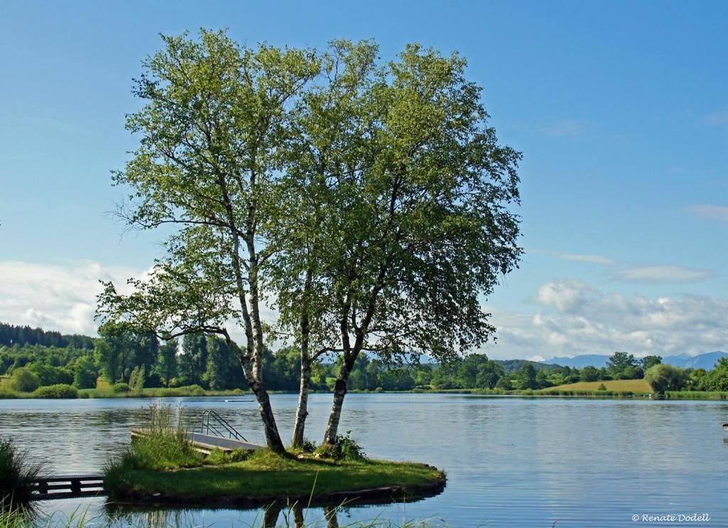 Apartmán Bergblick Weilheim in Oberbayern Exteriér fotografie